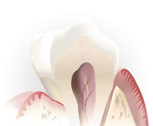 Animated inside of a tooth used to explain root canal therapy